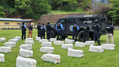 Incinerarán media tonelada de cocaína y cargamento de marihuana este viernes