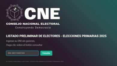 CNE habilita plataforma de consulta de electores para elecciones primarias 2025