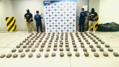 Decomisan 127 paquetes de marihuana en Olancho