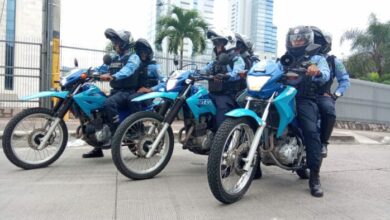 Más de 20 mil policías brindan seguridad en el 203 aniversario de independencia