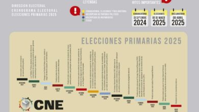 Este es el cronograma de las Elecciones Primarias 2025