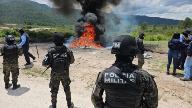 Incineran 1,416 kilos de cocaína en las instalaciones de la PMOP