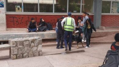 UNAH refuerza seguridad con perros detectores de droga para combatir el microtráfico