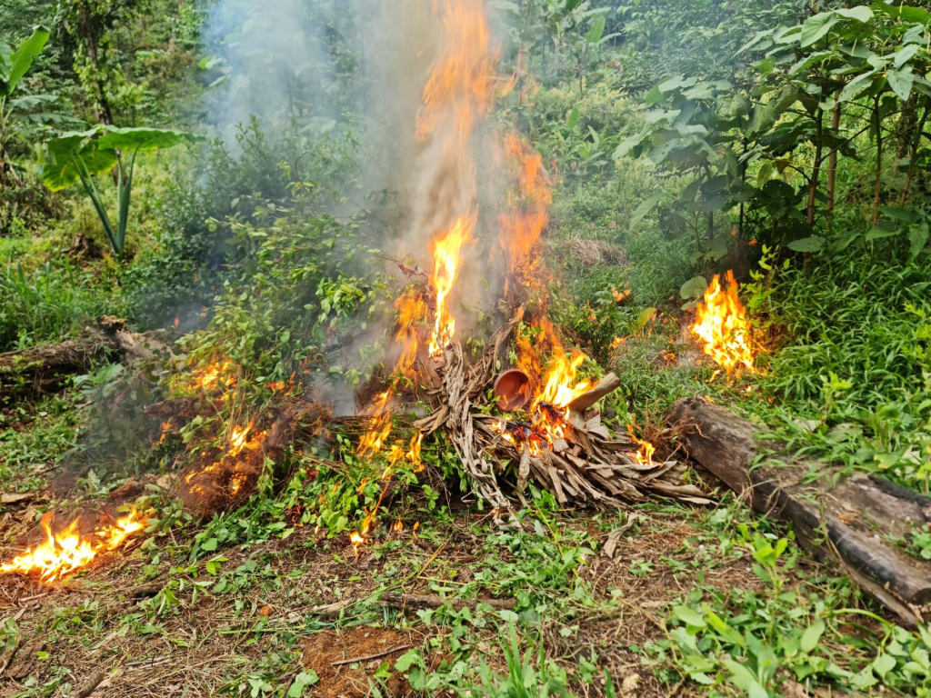 Erradican 14 mil arbustos de hoja de coca en sector montañoso de Trojes, El Paraíso