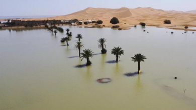 Inundaciones históricas en el Sáhara: Un fenómeno raro que impacta la región