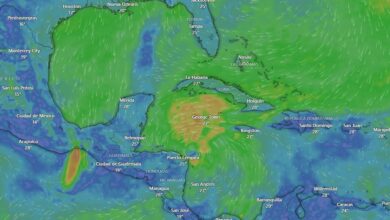 Siga en vivo la trayectoria de la tormenta tropical Sara