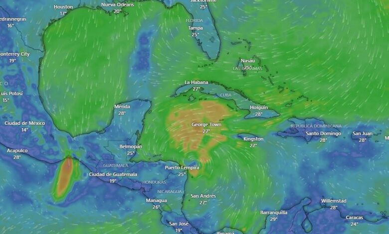 Siga en vivo la trayectoria de la tormenta tropical Sara