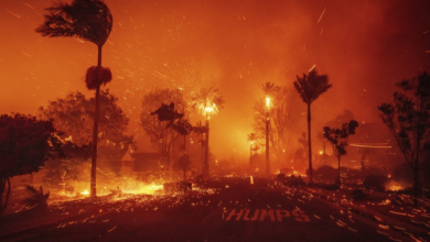 Incendio forestal y tormenta de viento ponen en alerta a California