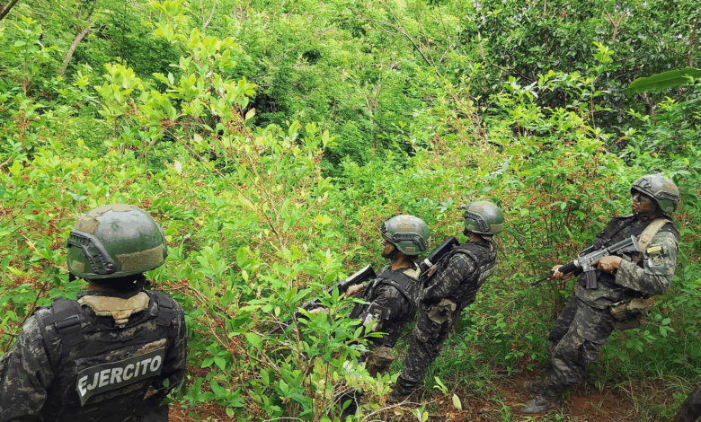 Destruyen plantaciones de coca y marihuana en Colón