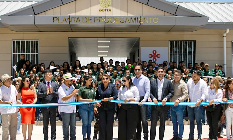 Planta de Procesamiento