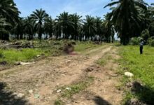 Violencia en Honduras