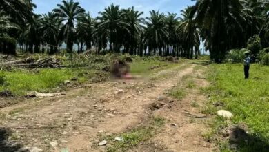 Violencia en Honduras